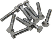 Drag Specialties Replacement Hex-Head Bolts Silver 10 Pack