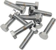 Drag Specialties Replacement Hex-Head Bolts Silver 10 Pack - MPB125