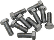 Drag Specialties Replacement Hex-Head Bolts Silver 10 Pack - MPB133