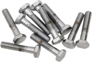 Drag Specialties Replacement Fine Thread Hex Head Bolts Chrome Polished Silver 10 Pack