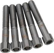 Drag Specialties Replacement Coarse Thread Socket-Head Bolts Chrome Polished Silver Smooth 5 Pack
