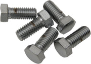Drag Specialties Replacement Hex-Head Bolts Silver 5 Pack