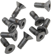 Drag Specialties Countersunk Socket-Head Bolts Silver 10 Pack