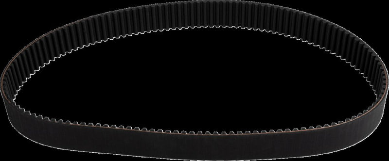 Belt Drives Ltd. Replacement Primary Belt Ribbed