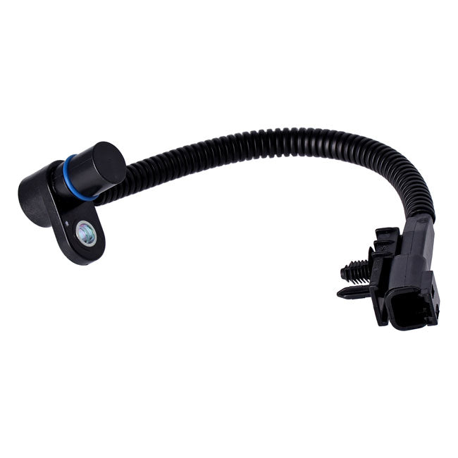 MCS573693 product image