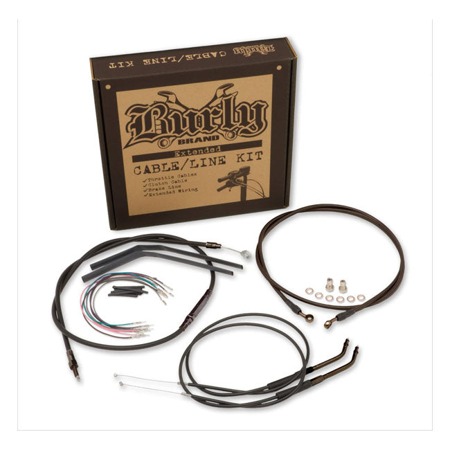 MCS587716 product image