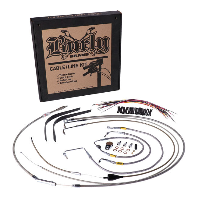 MCS577993 product image