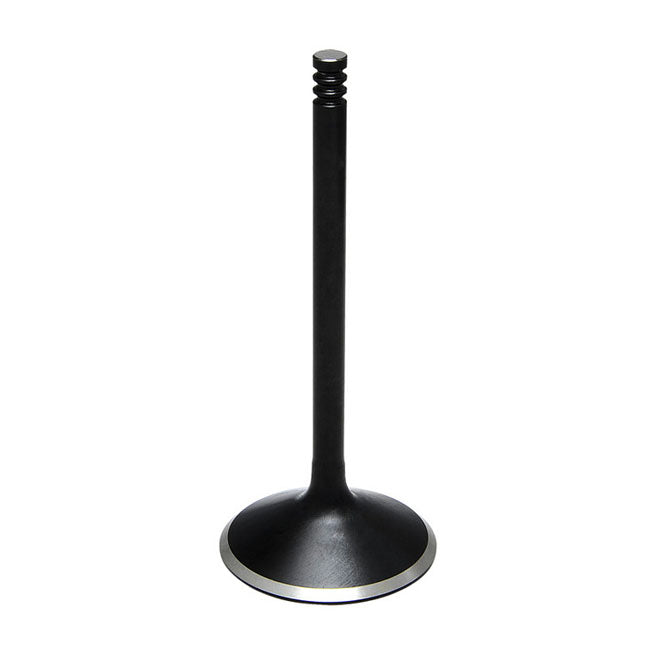 MCS588698 product image