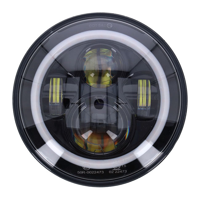 MCS593570 product image