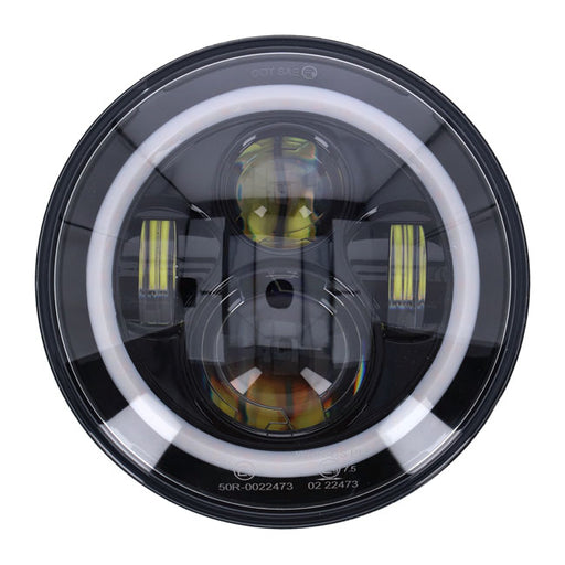 MCS593570 product image