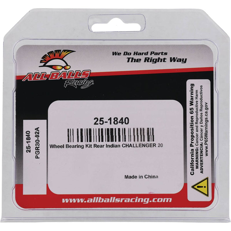 All Balls Wheel Bearing Kit - 25-1840