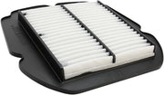 Hiflofiltro Replacement Air Filter - OEM, Black, White - HFA3618