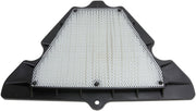 Hiflofiltro Replacement Air Filter - OEM, Black, White - HFA2920