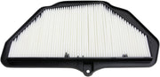 Hiflofiltro Replacement Air Filter - OEM, Black, White - HFA2921