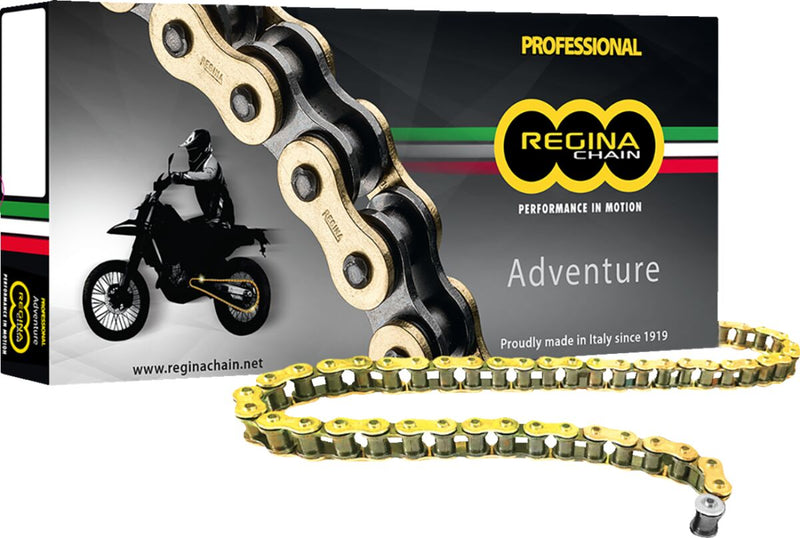 Regina ZRE Series Drive Chain - 525 - 114 Links - Black,  Gold