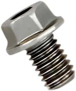 Akrapovic Replacement Exhaust Bolt - FB40