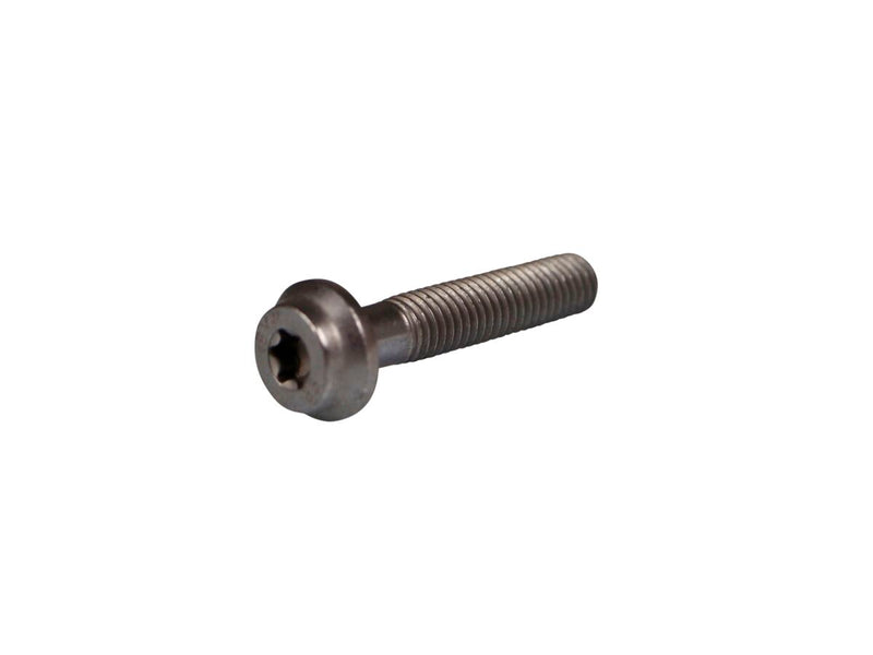 Akrapovic Bolt - Silver - Mounting screw