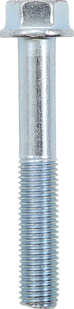 Akrapovic Replacement Exhaust Bolt