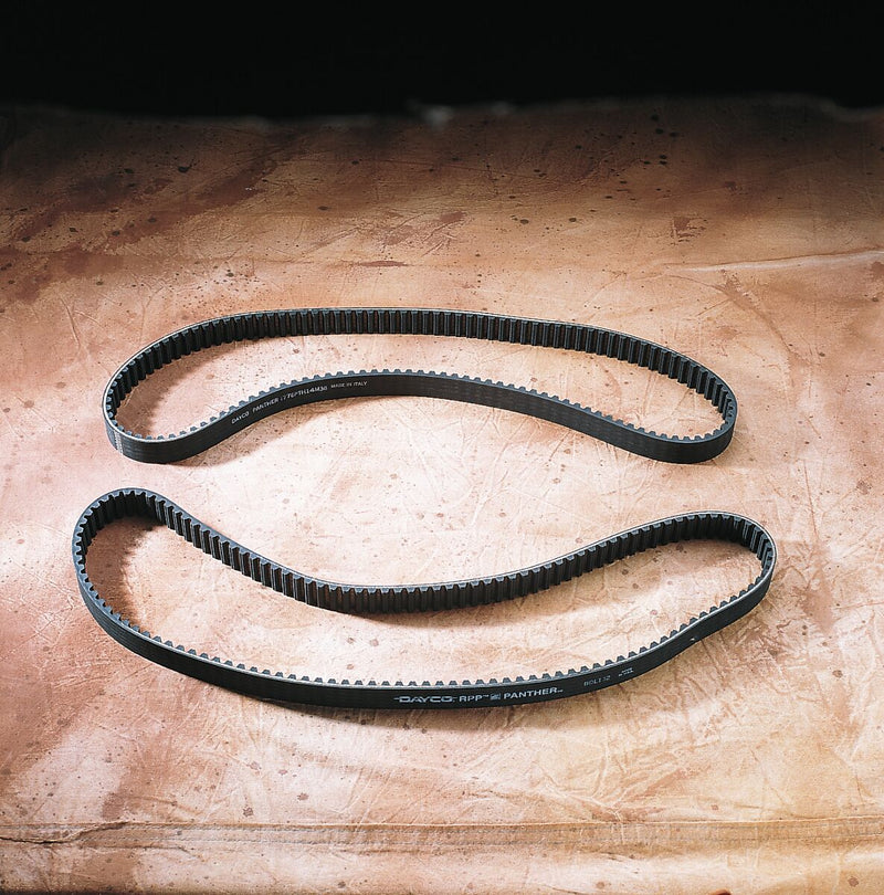 Panther Rear Drive Belt - 62-1233