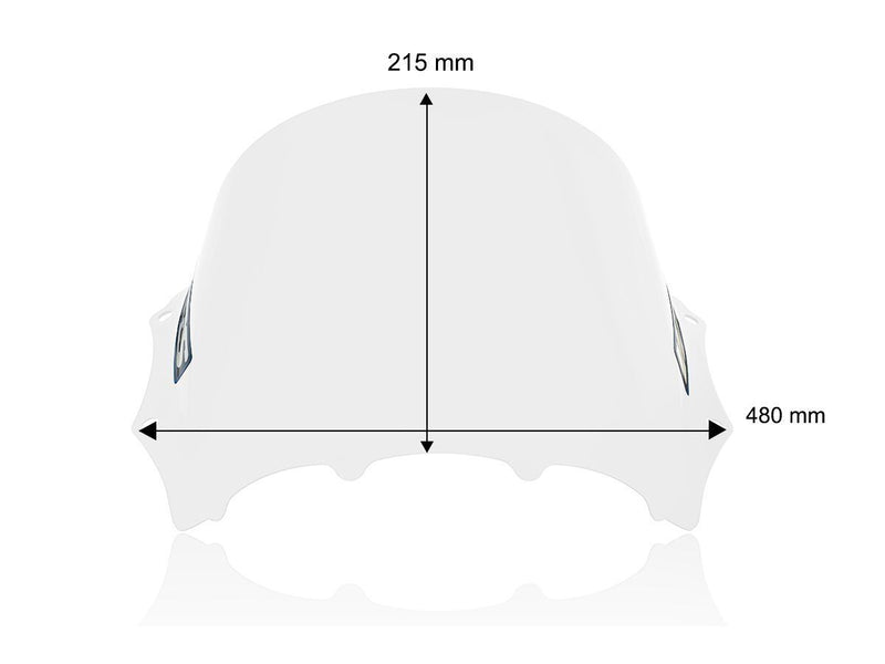 WRS Windscreen - Clear, Sport Bike - BM100T