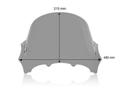 WRS Windscreen - Smoke, Sport Bike - BM100F