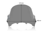 WRS Windscreen - Dark Smoke, Sport Bike - BM100FS