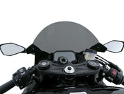 WRS Windscreen Race ZX-6R - Dark Smoke, Windshield