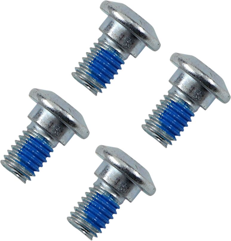 Moose Offroad Hard-parts Rotor Bolt Kit - Nickel, Silver - 039-6A09