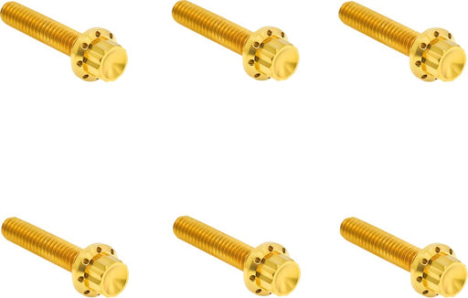 Arlen Ness Transmission Side Cover Titanium 12-Point Bolt Kit - Gold, 12-Point, Flange
