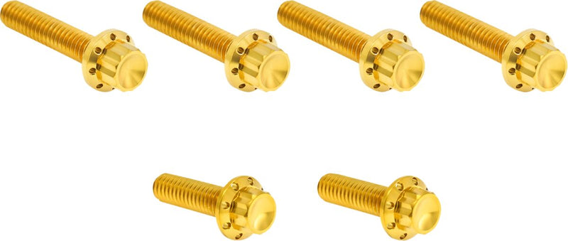 Arlen Ness Transmission Side Cover Titanium 12-Point Bolt Kit - Gold, 12-Point, Flange