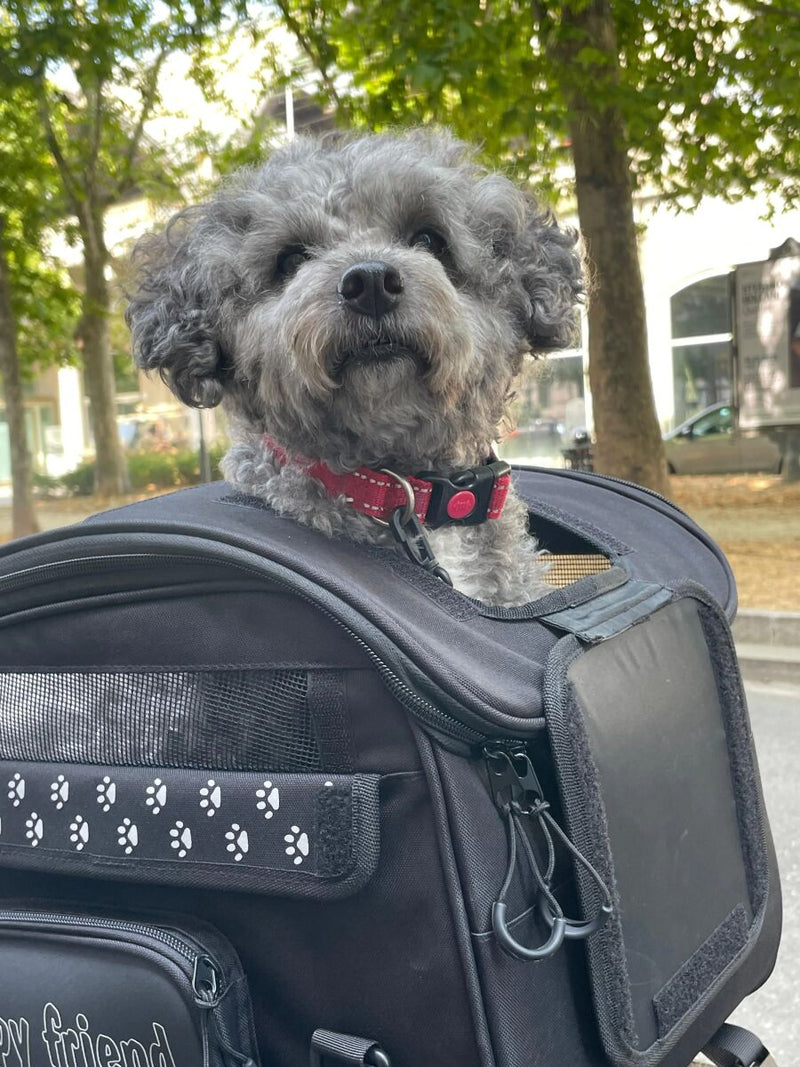 OJ Atmosfere Metropolitane S.r Pet Bag (30 Liters) - Black, Pet Carrier