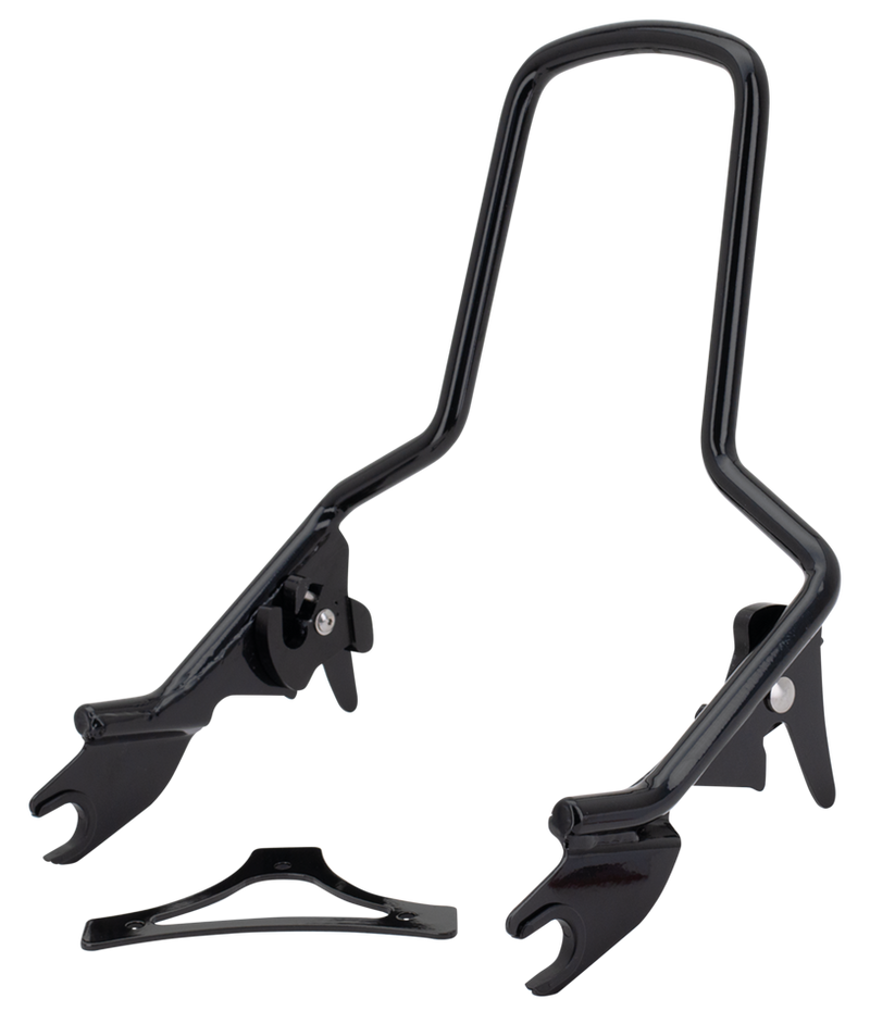 Det. Sissy Bar Standard Black FLT09-up