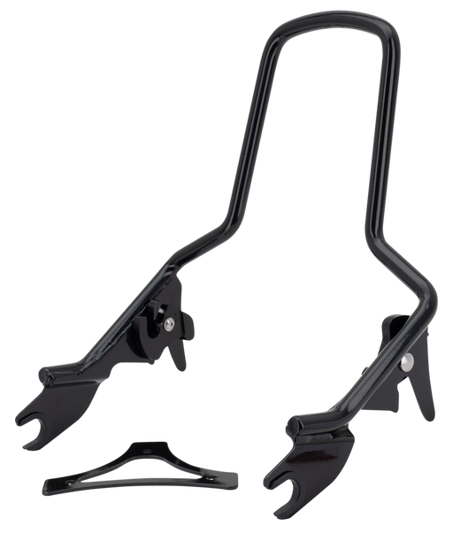 Det. Sissy Bar Standard Black FLT09-up