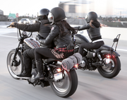 Burly low black sissybar XL04-up