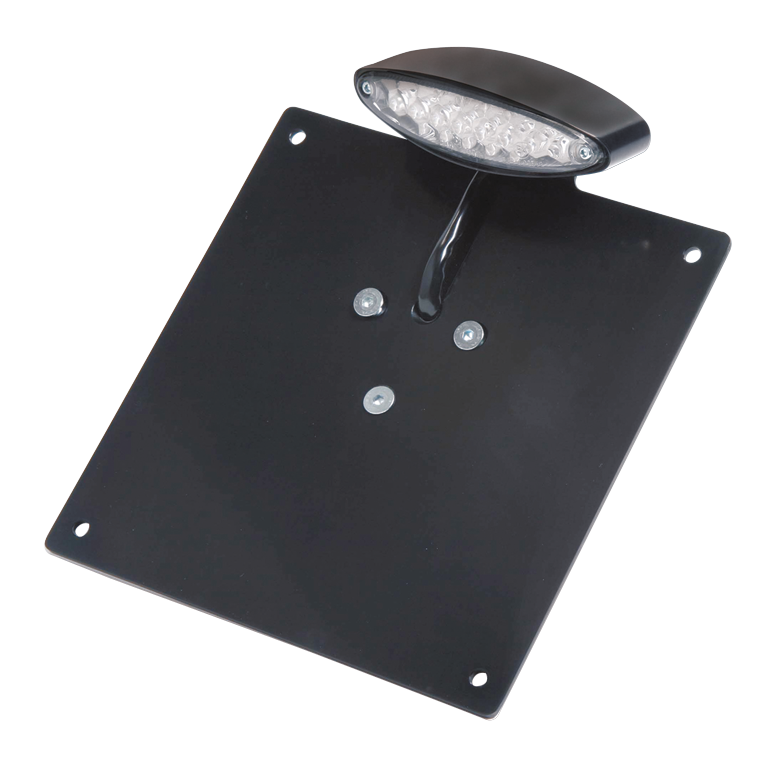 RBS Custom Parts RBS LED taillight/licensebrckt black