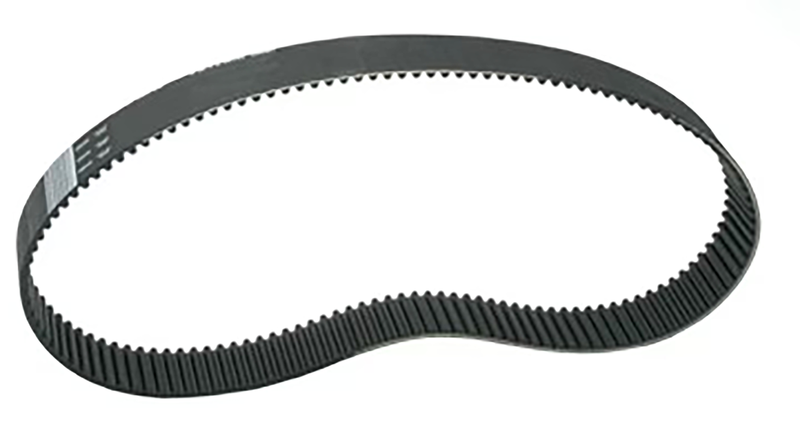 Rivera Primo Belt for kit FXR/FLT 130T