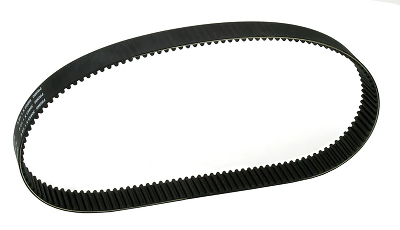 Rivera Primo Replacement 11mm 1 3/4" belt 101T
