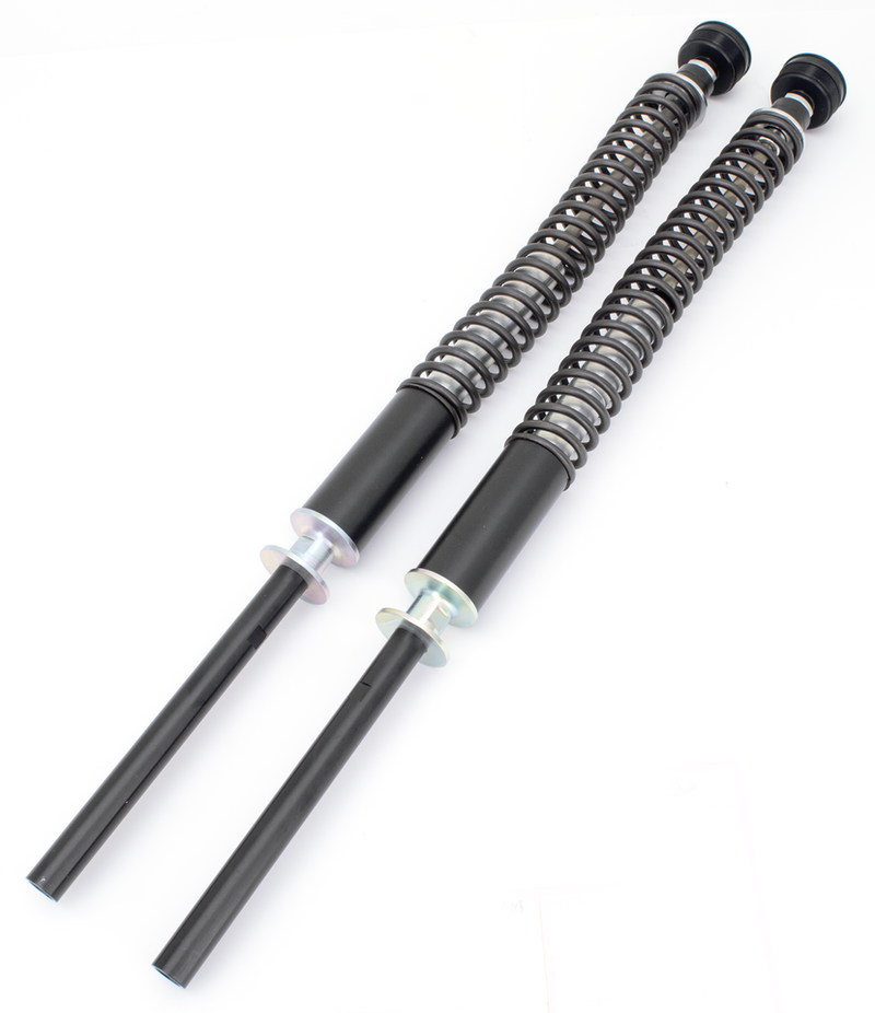 Bitubo FLHXS17/FLTRXS17-up cartridge kit