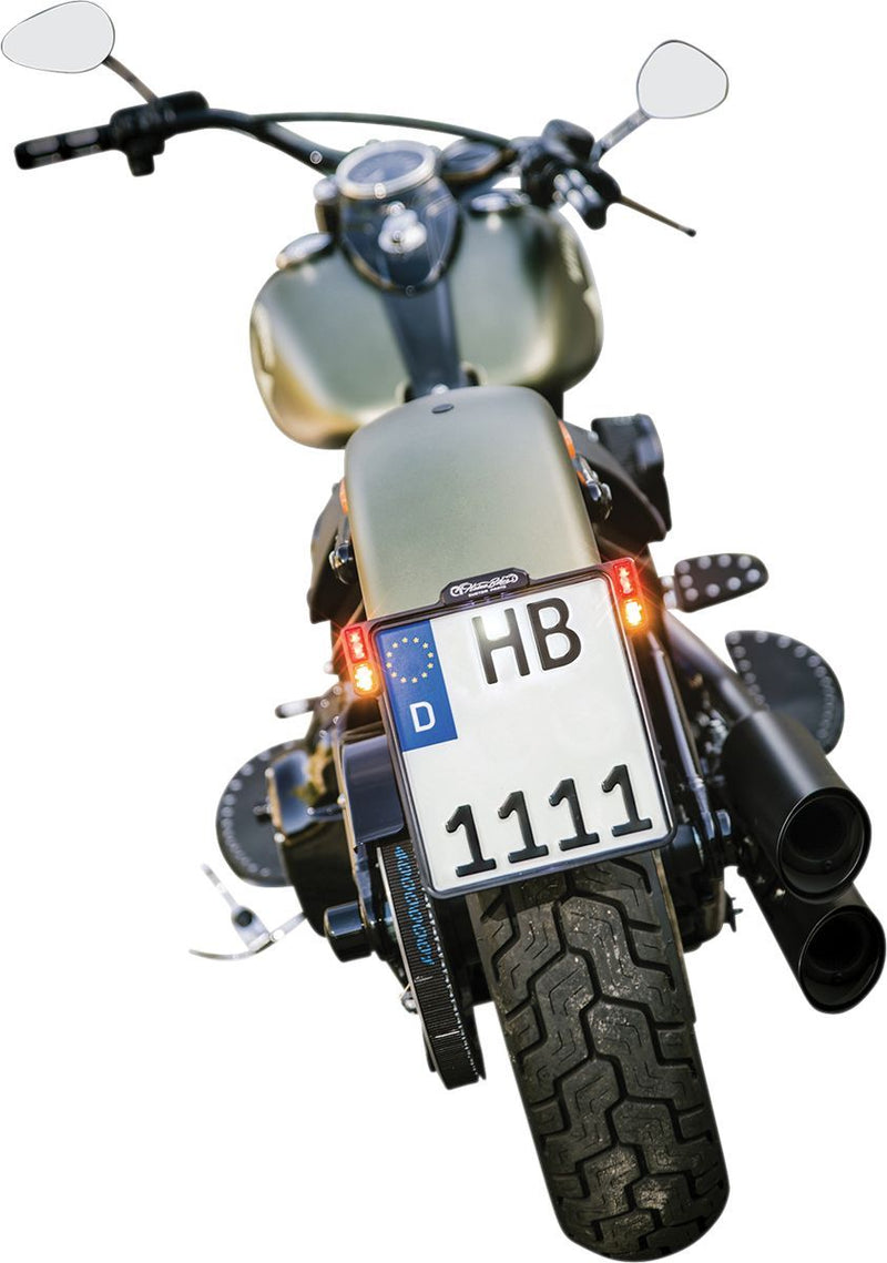 Heinz Bikes License Plate Holder 3-in-1 for EU Countries - Italy Plate Size, Slip-Inn, Each