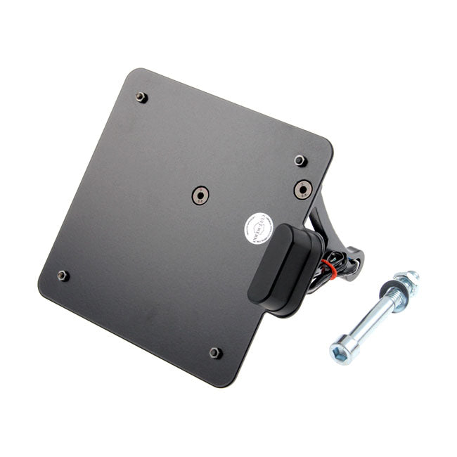 Cult-Werk Side Mount Licence Plate Bracket. Italy – 2002–2017 V-Rod